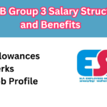 MPESB Group 3 Salary Structure and Benefits: Allowances, Perks & Job Profile