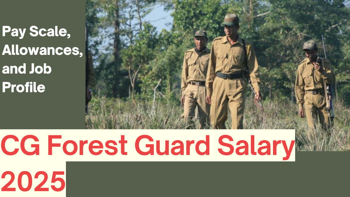 CG Forest Guard Salary