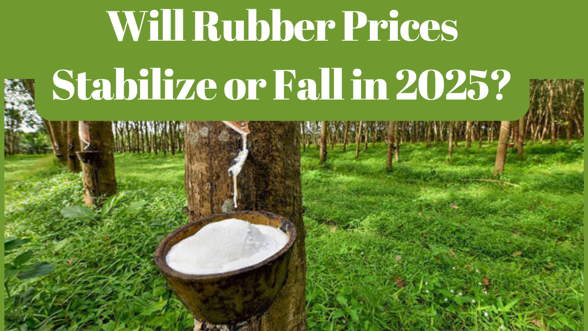 Will Rubber Prices Stabilize or Fall in 2025?