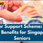 Silver Support Scheme: New 2025 Benefits for Singaporean Seniors