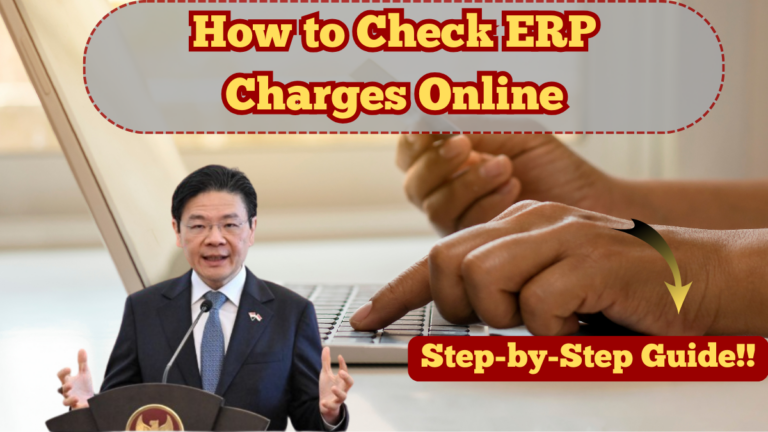 How to Check ERP Charges Online in Singapore – Step-by-Step Guide