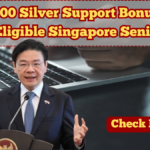 $900 Silver Support Bonus for Eligible Singapore Seniors in 2025