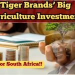 Tiger Brands’ Big Agriculture Investment – Boost for South Africa in 2025