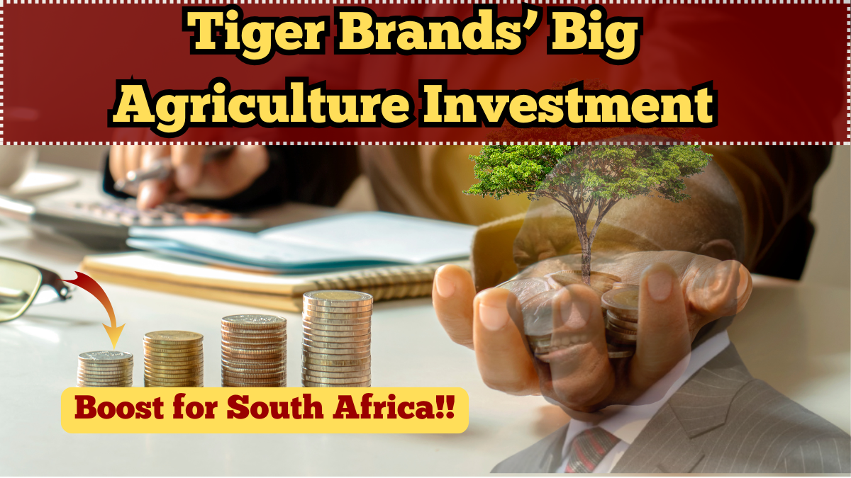 Tiger Brands’ Big Agriculture Investment – Boost for South Africa in 2025